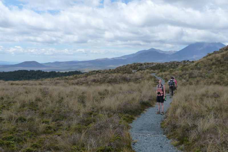 Nieuw-Zeeland 2011 - 0866